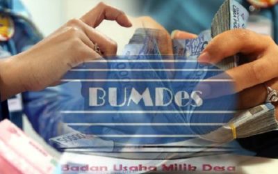 BUMDes Ditargetkan Miliki Penghasilan Rp1 Miliar Per Tahun
