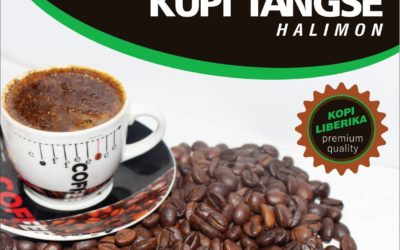 Kopi Liberika Aceh di Dataran Tinggi Tangse